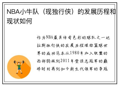 NBA小牛队（现独行侠）的发展历程和现状如何